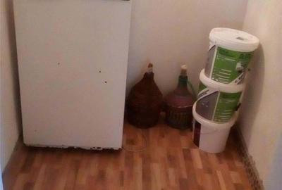 Casă cu 3 camere cu Teren 10000 Mp în Gherteniș - 17