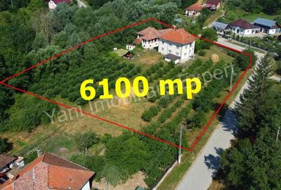 Casa + 6100 mp teren de vanzare in comuna Cepari, sat Urluie?ti, jude? Arge?. - 1