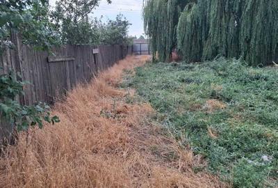 REC3001535 Inchiriere spatiu comercial I camere frigorifice I 40 min Bucuresti - 7