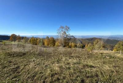Teren de 6360 mp, în Central