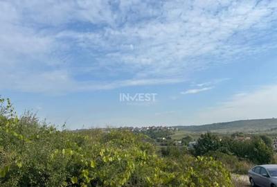 Teren de 500 mp, în Lunca Cetățuii - 3