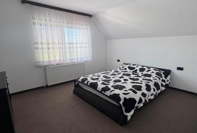 Casa individuala cu 5 camere, 450mp teren, Satu Mare - 5