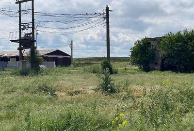 Teren intravilan Hirsova 16.862 mp - 8