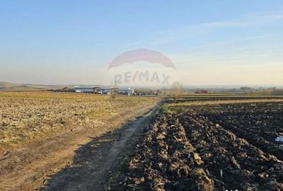 Teren de 6100 mp, în Stroiești - 4