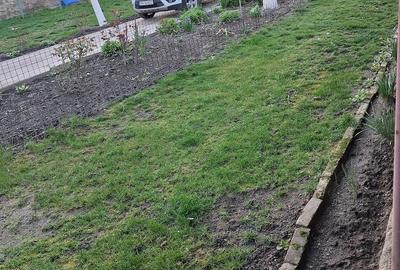 Casă cu Teren 2500 Mp în Otelec - 15