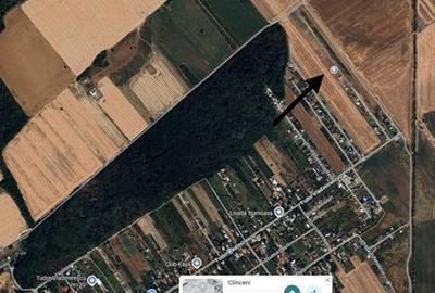 Spațiu comercial, în Clinceni - 3