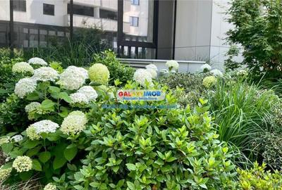 Teren Construcții intravilan de 7000 mp, în Aviației - 1