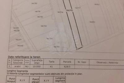 Teren de 10000 mp, în Vest - 1