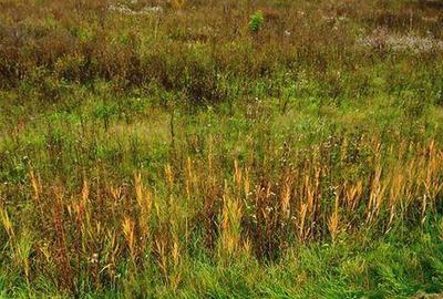 Teren de 325 mp, în Central