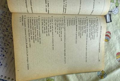 Apartament de inchiriat - 1