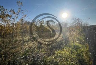 Teren de 12650 mp, în Ghirdoveni - 6