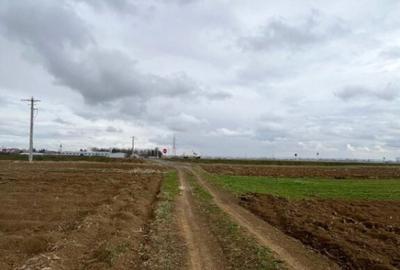 Teren extravilan 2500 mp,cu acces la Centura ,Radauti - 5