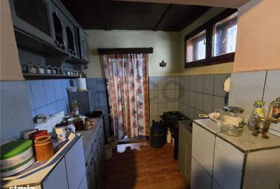Casă cu 4 camere cu Teren 4000 Mp în Cociuba Mare - 9
