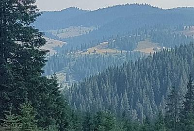 Spațiu comercial, în Poiana Horea - 8