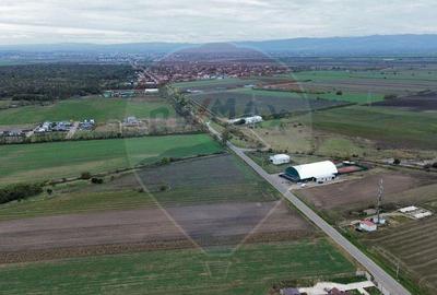 Teren 1,800mp Mircestii Vechi / DJ 204E - 2