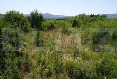 Teren intravilan de vanzare, 7000 mp, DN 17, zona Podirei - 3
