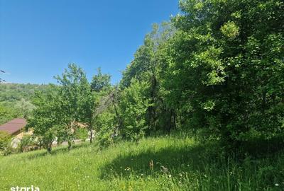 Teren de 3186 mp, în Poiana - 3