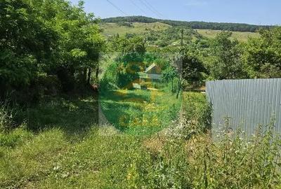 Casă cu 3 camere cu Teren 1900 Mp în Ion Creangă