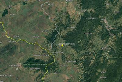 Forotic, Teren Drept Pentru Investitie, 13.2 Hectare (132.00 - 8