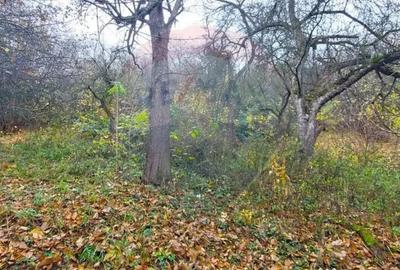 Casă cu 2 camere cu Teren 1000 Mp în Schei - 10