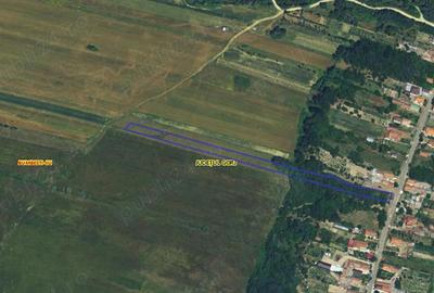 Teren de 11137 mp, în Curtișoara - 4