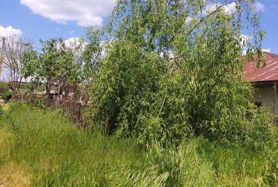 Casa de vanzare - Calugareni , Hulubesti - 7