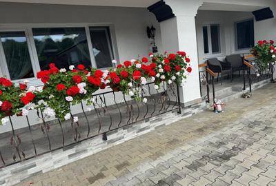 Casă individuală cu 4 camere cu Canalizare în Hetiur - 8