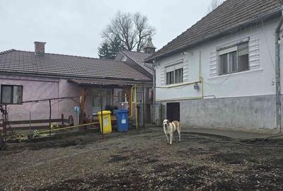 Casă cu Teren 3650 Mp în Sânmihaiu de Câmpie - 8