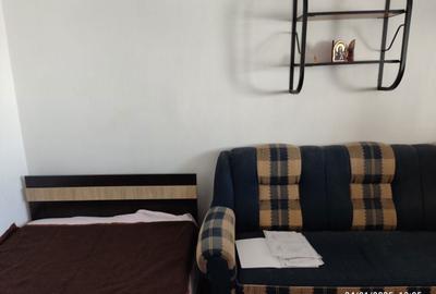 Garsonieră decomandată în Exterior Vest - 5