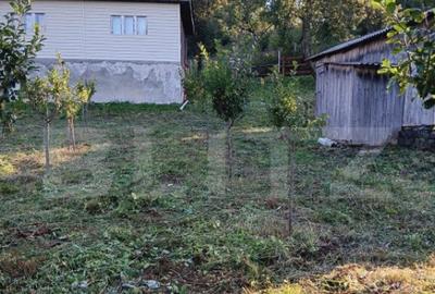 Casa la munte, teren 8324 mp, anexe, zona comuna Bucium - 9
