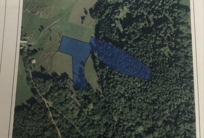 Spațiu comercial, în Mărișel - 2