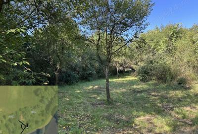 Teren de 11600 mp, în Ceuaș - 2