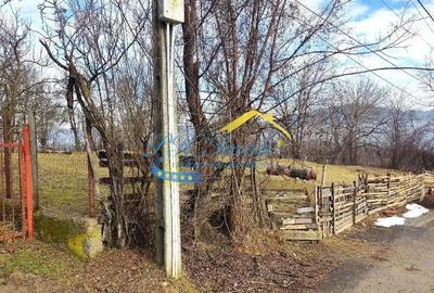 Teren de 5037 mp, în Gura Beliei - 3