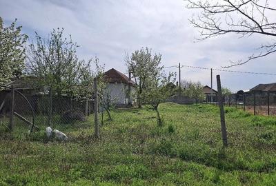 Casă cu 3 camere cu Teren 1500 Mp în Dâmbovița - 4
