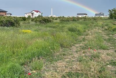 Teren 540 mp Magurele strada Nuferilor - 1