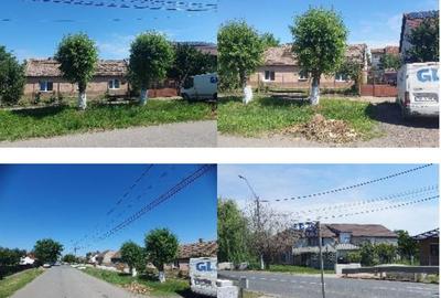 Cota 1/2 din casa situata in loc. Carpinis, jud. Timis - 6