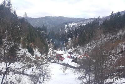 Teren de 5062 mp, în Voineasa - 8