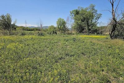 Teren de 12667 mp, în Șoimuș - 4
