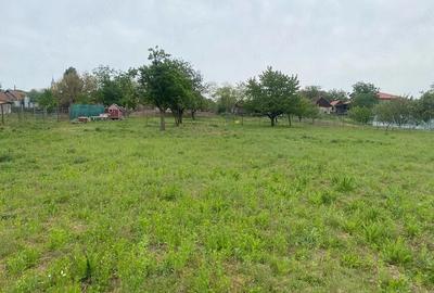 Teren de 4596 mp, în Cetariu - 2