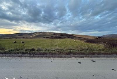 Teren de 6000 mp, în Cojocna - 6