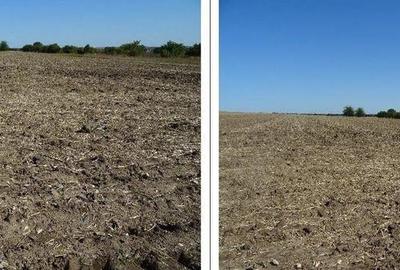 Teren intravilan Valu lui Traian, cota parte 3/48 ; ID: R... - 7