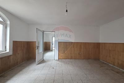 De vanzare proprietate unicat in Sascut - Bacau - 21