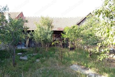 Casă cu Teren 1129 Mp în Berliște - 19