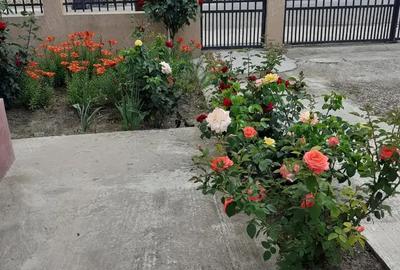 Casă cu 3 camere în Central - 4