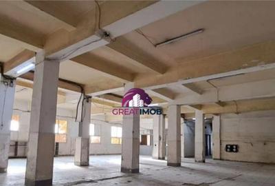 Hala de inchiriat Drumul intre Tarlale - 1