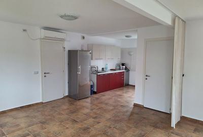 Casă cu 2 camere în Snagov - 1