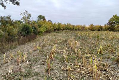Casă cu 4 camere în Berechiu - 6