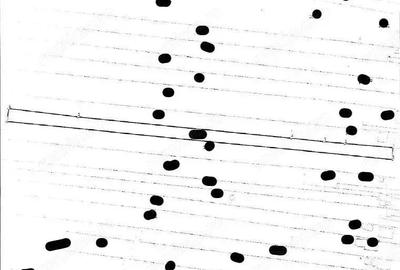Teren cota parte de 1/4 Valenii de Munte, ID: R2643899 Teren cota parte de 1/4 Valenii de Munte, ID: R2643899 - 3