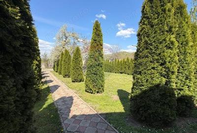 Casă cu 3 camere cu Teren 788 Mp în Biertan - 2