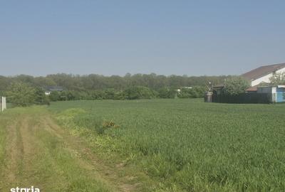Teren de 1000 mp, în Balotești